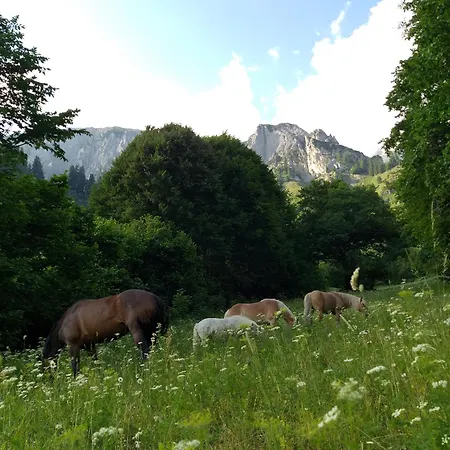 Juritsch Apartman Klösterle am Arlberg