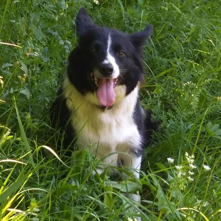 Apartment Juritsch *