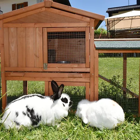 Juritsch Apartman Klösterle am Arlberg