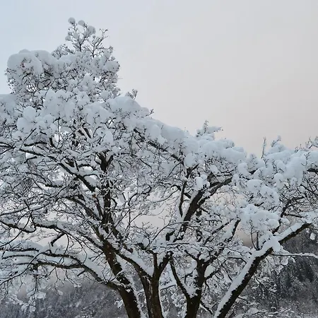 شقة Juritsch كلوسترل ام ارلبرغ